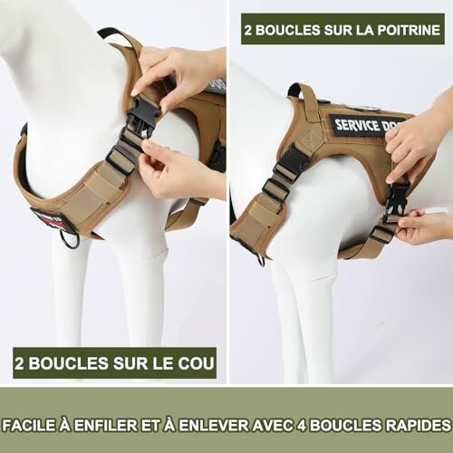 Harnais pour chien avec boucles faciles à attacher.