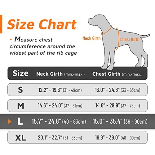 Tableau des tailles pour harnais de chien montrant les mensurations du cou et de la poitrine pour différentes tailles.