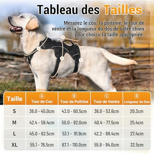 Tableau des tailles pour harnais de chien