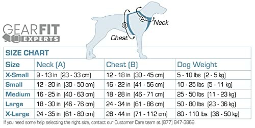 Tableau des tailles de harnais pour chien