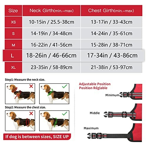 Guide des tailles de harnais pour chien avec instructions de mesure.