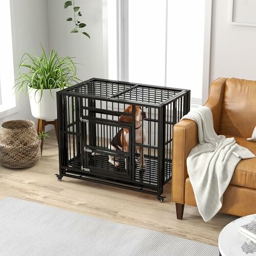 Chien dans une cage en métal dans le salon.