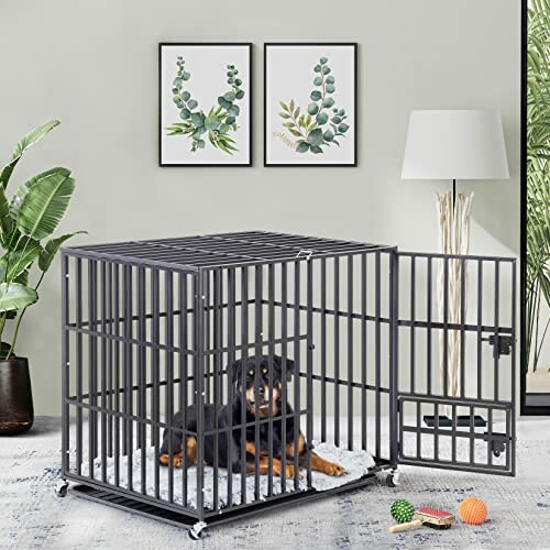 Cage BingoPaw pour Chien