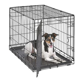 Chien assis dans une cage en métal.