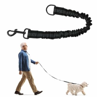 Homme âgé promenant un chien en laisse noire.