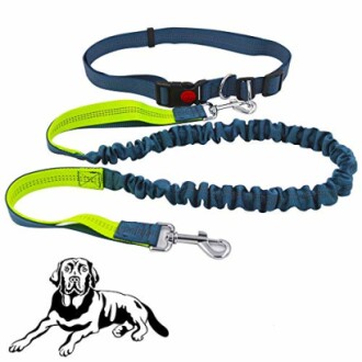 Laisse de chien avec ceinture de taille et illustration de chien.