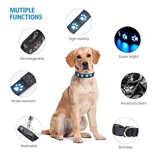 Collier LED pour chien avec fonctionnalités multiples.