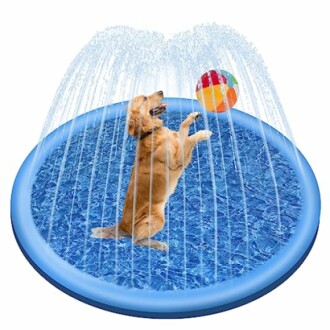 Chien jouant avec un ballon dans une pataugeoire.