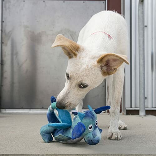 Chien jouant avec un jouet bleu en peluche.