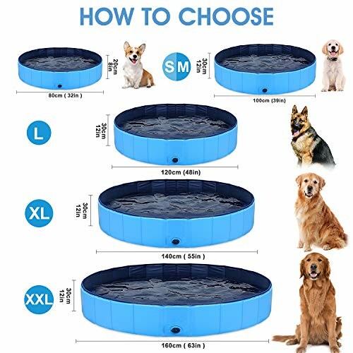 Guide des tailles pour piscine pour chiens avec différentes races