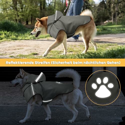 Chien portant une veste réfléchissante