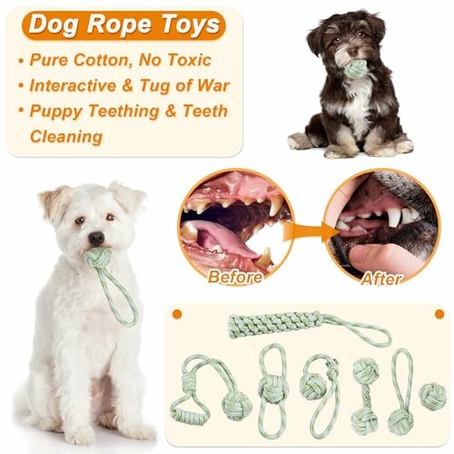 Jouets en corde pour chiens avec chien jouant et nettoyage des dents.