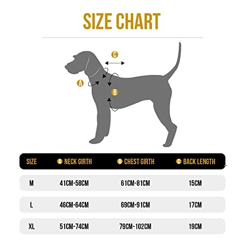 Tableau des tailles pour chien avec mesures du cou, poitrine et dos.