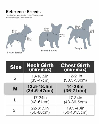 Guide de taille pour chiens avec exemples de races et mesures.