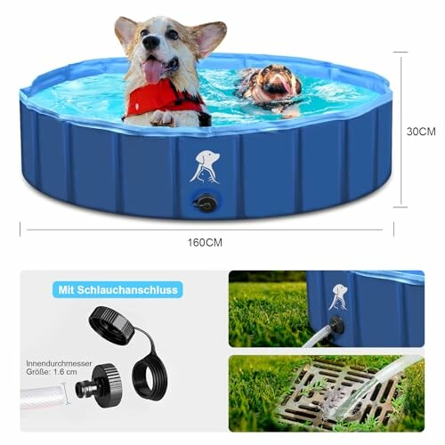 Fwiull Piscine Pliable pour Chiens