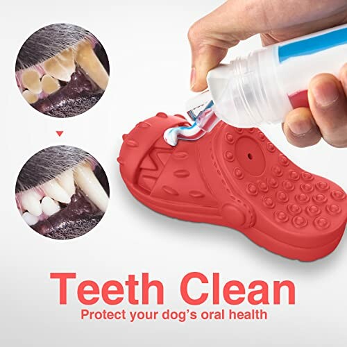 Jouet rouge pour nettoyer les dents de chien avec dentifrice.