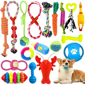 Ensemble de jouets pour chiens colorés et variés.