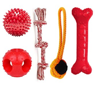 Ensemble de jouets pour chien avec balles et cordes