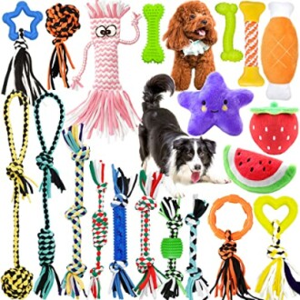 Collection de jouets pour chiens colorés et variés.