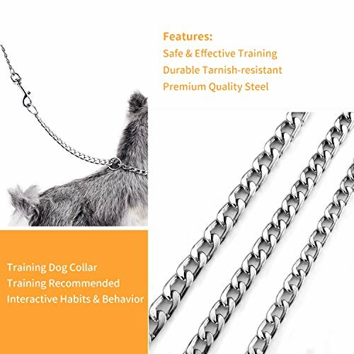 Collier de dressage pour chien en acier inoxydable.