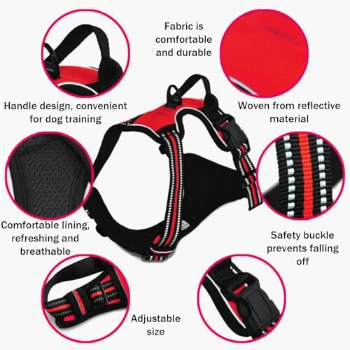 Harnais de dressage pour chien avec boucles de sécurité et tissu réfléchissant