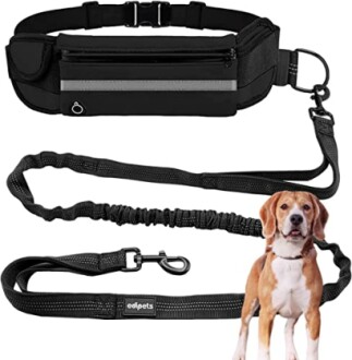 Ceinture de marche avec laisse pour chien.