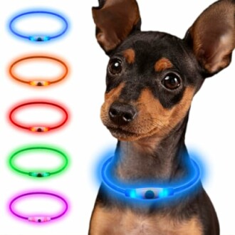 Chien portant un collier lumineux bleu avec plusieurs colliers colorés affichés à côté.