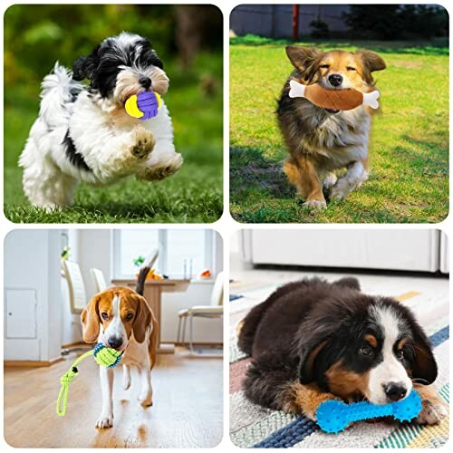 HEPAZ Jouets pour Chien