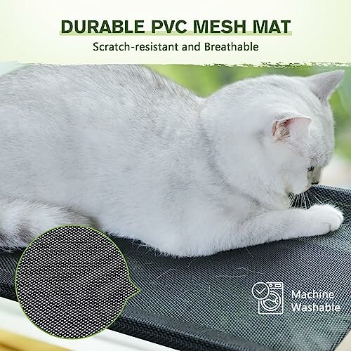 Chat blanc sur un tapis en maille PVC