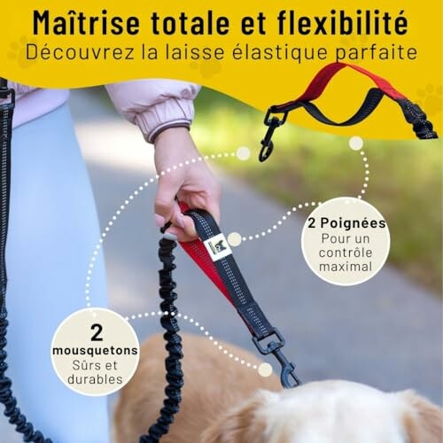 Laisse élastique avec poignées et mousquetons pour chien.