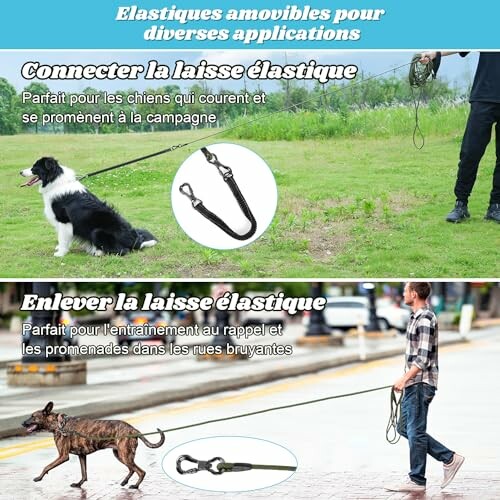 Guide d'utilisation d'une laisse élastique pour chiens.