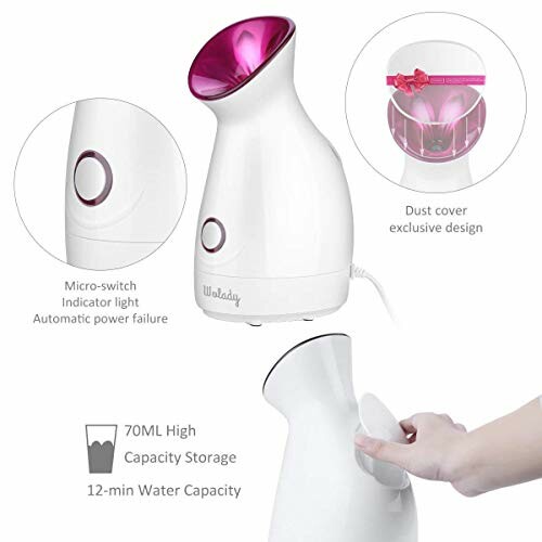 Vapeur Visage Wolady