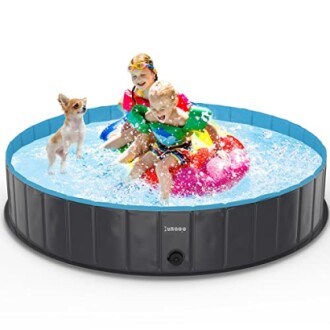 Enfants et chien jouant dans une piscine gonflable