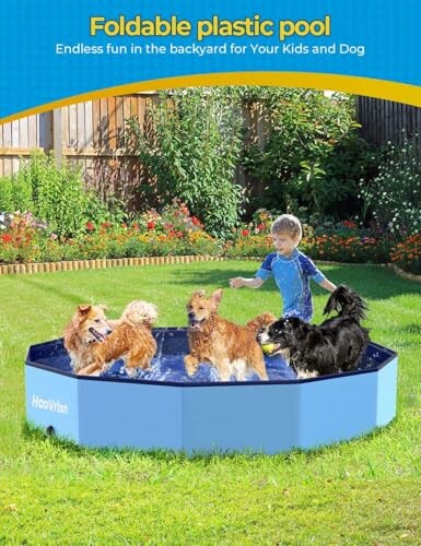 Un enfant et cinq chiens jouent dans une piscine pliable dans le jardin.