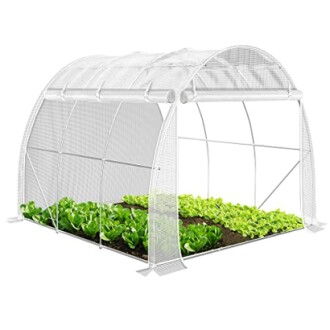Serre de jardin avec légumes verts.