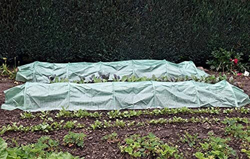 Rangées de jardin couvertes avec une bâche verte