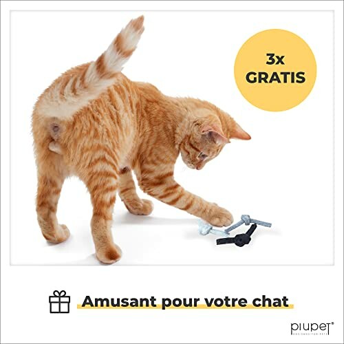 Chat roux jouant avec des jouets