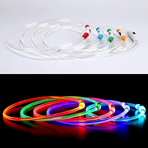 Colliers lumineux pour chiens en LED multicolores