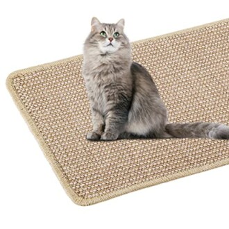 Chat gris assis sur un tapis beige.