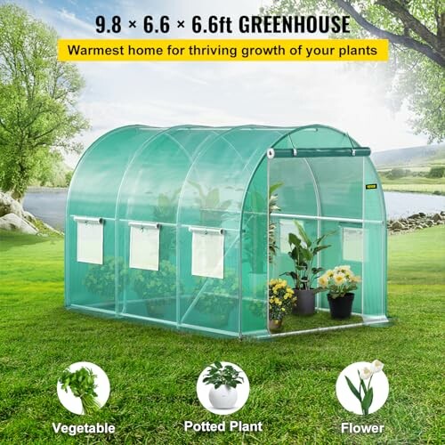 Serre verte avec plantes à l'intérieur sur fond de jardin