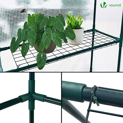 Plantes en pot sur une étagère de serre avec structure métallique.