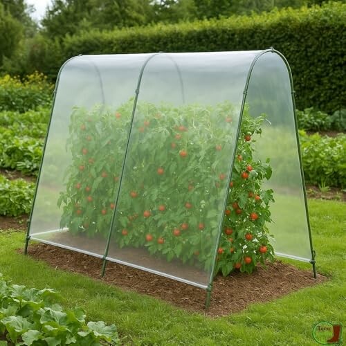 Serre à tomates TERRE JARDIN