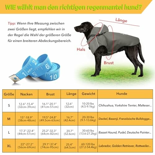 Guide de taille pour manteau de pluie pour chien avec illustration et tableau.