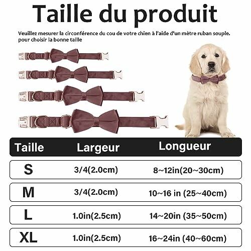 Tableau des tailles pour colliers de chien avec un chiot en illustration.