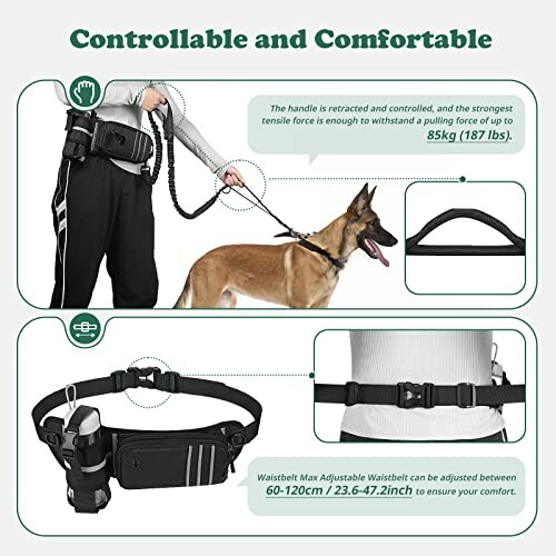 Harnais de ceinture pour chien avec laisse rétractable et poche pour bouteille.