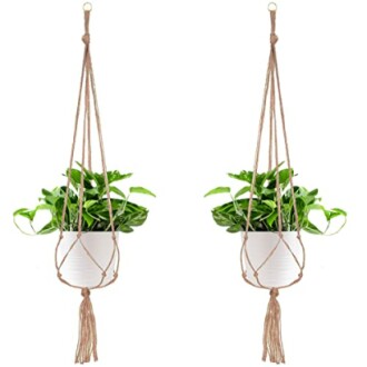 Pots de fleurs suspendus en macramé avec plantes vertes.