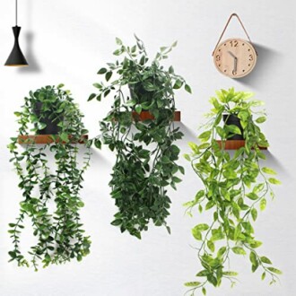 Plantes suspendues sur le mur avec une horloge en bois.