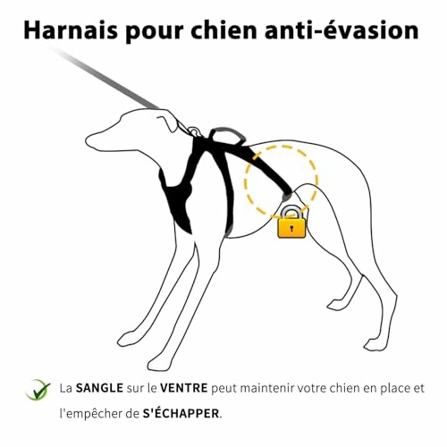 Illustration d'un harnais pour chien anti-évasion