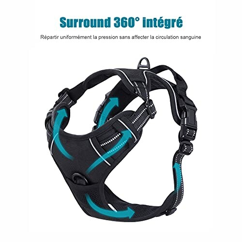 Harnais pour chien avec design Surround 360 intégré