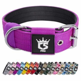 Collier TSPRO pour Chien